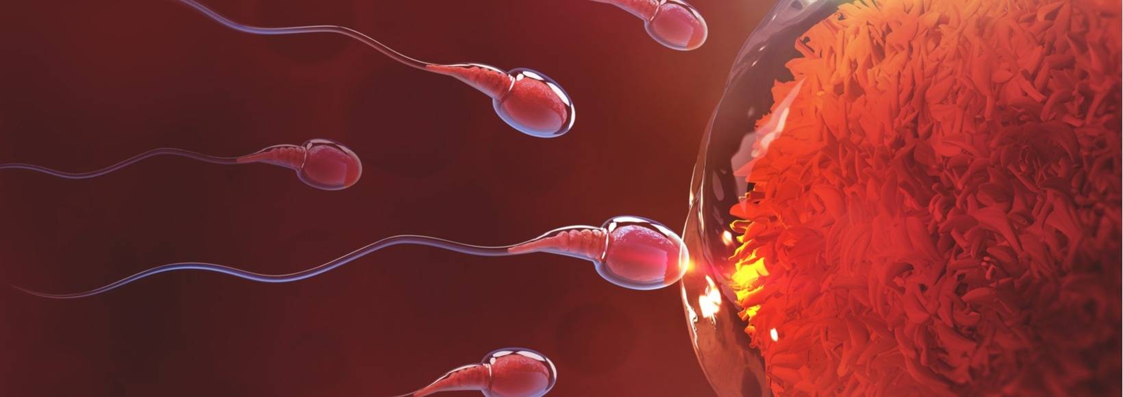 Preparation to get pregnant