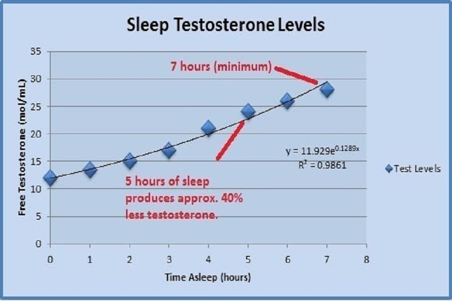 Sleep for Optimization
